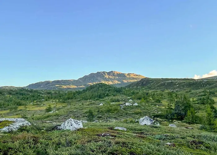 Lovely In With Wifi *